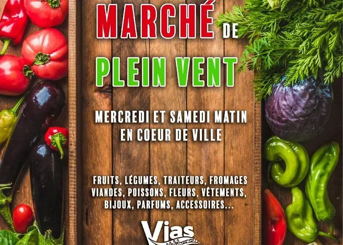 4 Personnes Avec Terrasse, Parking Et Piscine Collective - V0784 Apartment Vias